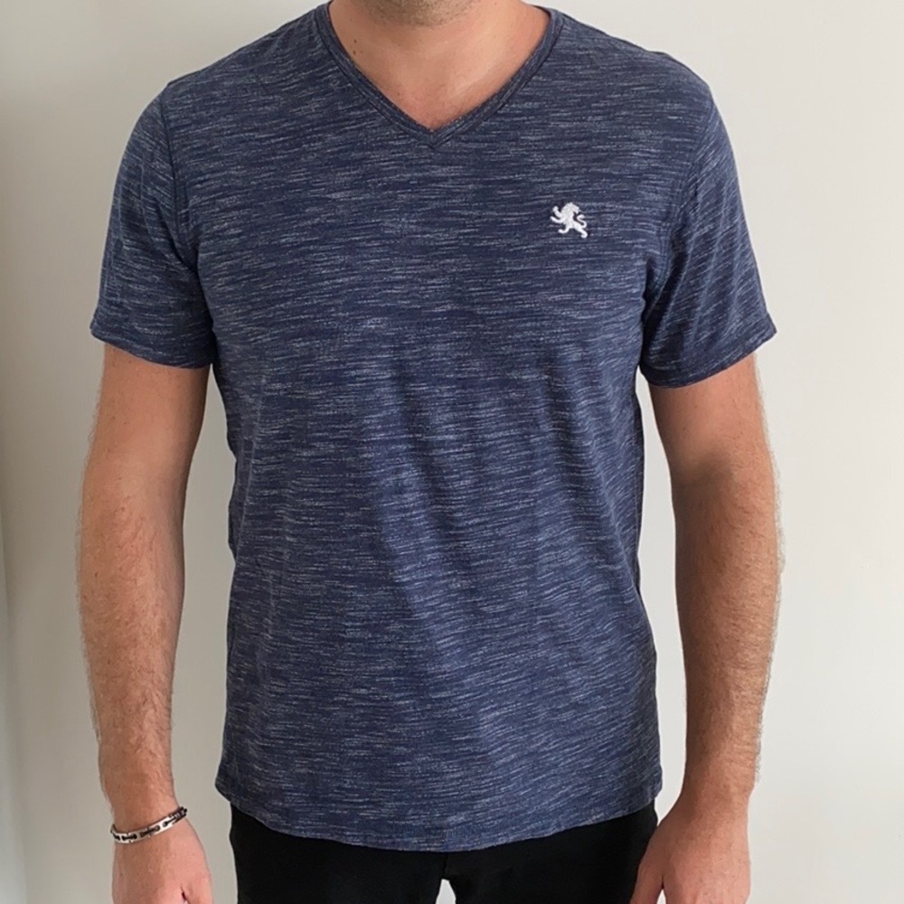 Express Slim Stretch Cotton V-Neck T-Shirt